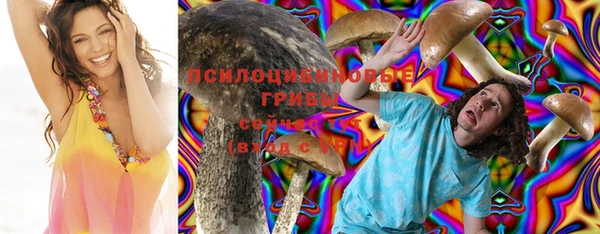 соль ск Гусиноозёрск