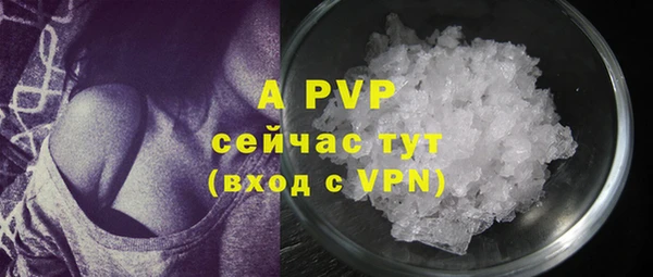 соль ск Гусиноозёрск
